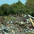 Τα σκουλήκια από τα μύδια «κάνουν πάρτυ» σε παράνομη χωματερή στην Ολυμπιάδα